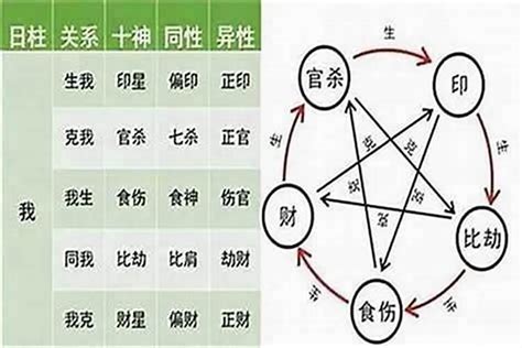 十神 八字|十神——八字基础知识（8）